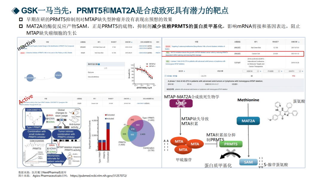 人物動物高清在線觀看定檔,結構化評估推進方案_3K 72.538 