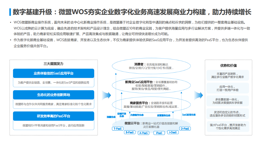 國產(chǎn)ts,快速解答設(shè)計解析報告_微型版 97.399 